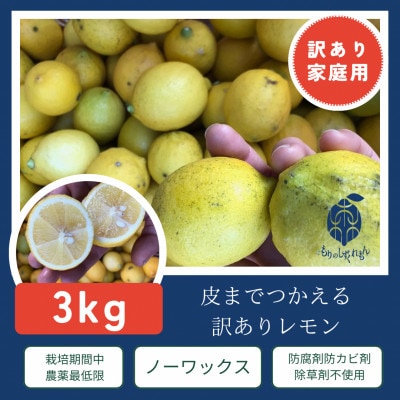 愛媛県松山市産 訳ありレモン 1.5kg×2箱