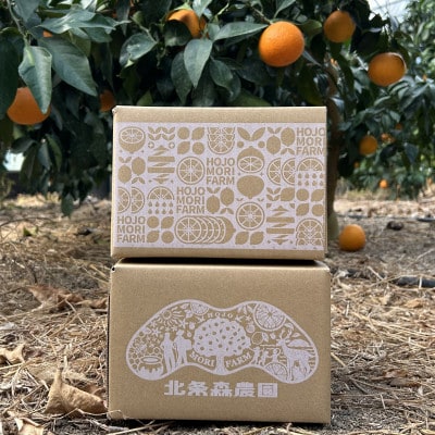 愛媛県松山市産 訳ありレモン 1.5kg×2箱