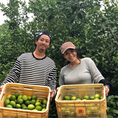愛媛県松山市産 訳ありレモン 1.5kg×2箱