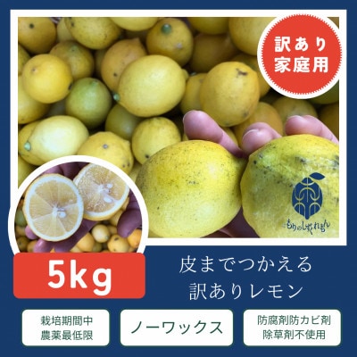訳ありレモン瀬戸内愛媛県産 5kg
