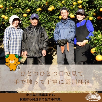 【2027年1月から順次発送】　これぞ伊予柑　3kg