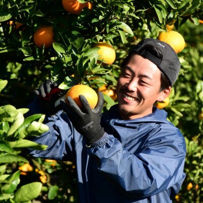 【2027年1月から順次発送】　これぞ伊予柑　3kg