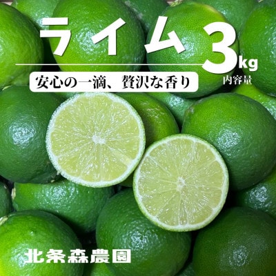 超貴重　希少　ライム3kg