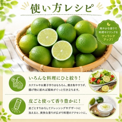 超貴重　希少　ライム3kg