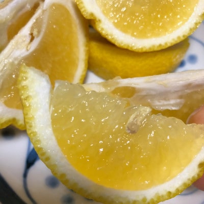 春の訪れを告げる【はるか】