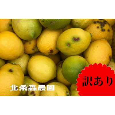 訳あり　レモン　3kg