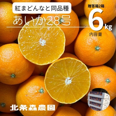 あいか28号　3kg×2箱　6kg　紅まどんなと同品種　ご褒美にと贈り物に!