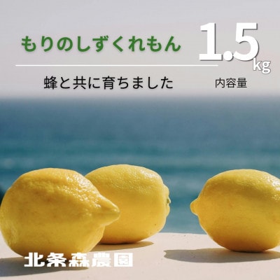 もりのしずくれもん(国産レモン)1.5kg