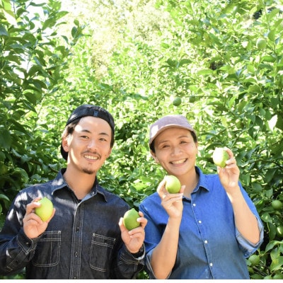 もりのしずくれもん(国産レモン)1.5kg