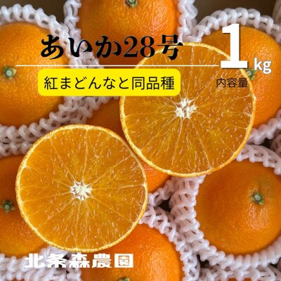 あいか28号　紅まどんなと同品種