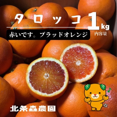【2027年3月より順次発送】　ブラッドオレンジ　タロッコ　1kg
