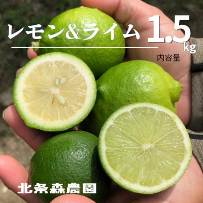 愛媛県松山市産レモンとライム計1.5kgセット