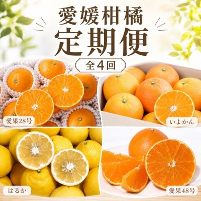 【発送月固定定期便】愛媛柑橘定期便全4回