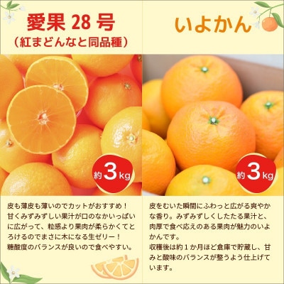 【発送月固定定期便】愛媛柑橘定期便全4回