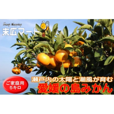 【先行受付】愛媛の島みかん【ご家庭用】約5キロ　みかんの本場愛媛から