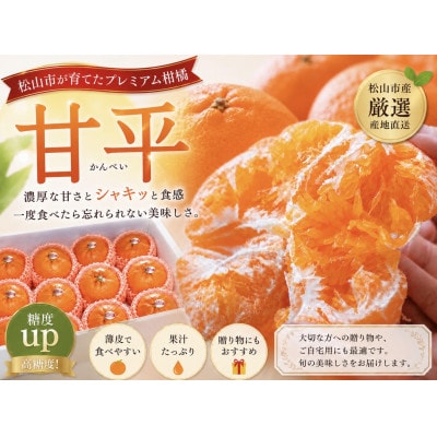 愛媛だけのプレミアムみかん　甘平(かんぺい) 約3キロ