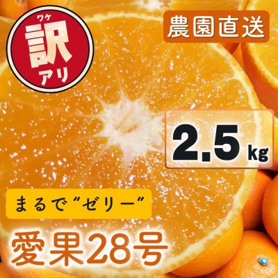 訳あり 愛果28号(紅まどんなと同品種)2.5kg(6個～15個) 2025年11月下旬順次発送