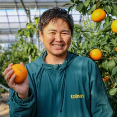 訳あり 愛果28号(紅まどんなと同品種)5.0kg(12個～30個) 2026年11月下旬順次発送