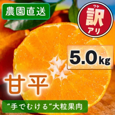 【2027年2月上旬以降発送】 訳あり 農園直送 甘平(かんぺい) 5.0kg 愛媛県限定栽培柑橘