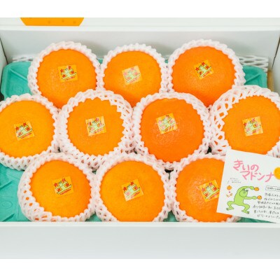 【先行受付】きいのあいか/約3kg・8～12個程度