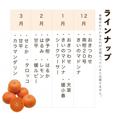 【2025年1月発送】愛媛松山市産みかん季節の詰め合わせセット 5kg