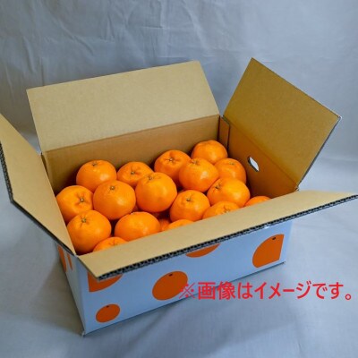 【2025年1月発送】愛媛松山市産みかん季節の詰め合わせセット 5kg