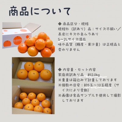 訳あり 愛果28号 みかん約5玉〜10玉程度|ジューシーな家庭用柑橘【12月〜1月発送】