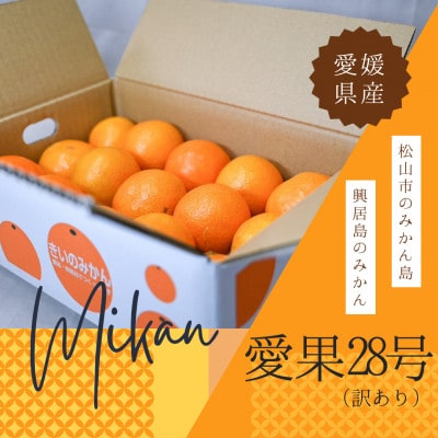 訳あり 愛果28号 みかん約10玉〜15玉程度|ジューシーな家庭用柑橘【12月〜1月発送】