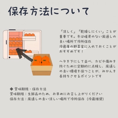 訳あり 愛果28号 みかん約10玉〜15玉程度|ジューシーな家庭用柑橘【12月〜1月発送】