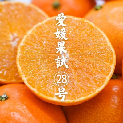 訳あり 愛果28号 みかん約24玉程度|ジューシーな家庭用柑橘【12月?1月発送】