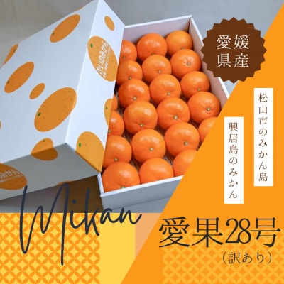 訳あり 愛果28号 みかん約24玉程度|ジューシーな家庭用柑橘【12月〜1月発送】