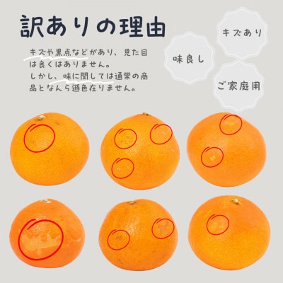 訳あり 愛果28号 みかん約24玉程度|ジューシーな家庭用柑橘【12月〜1月発送】