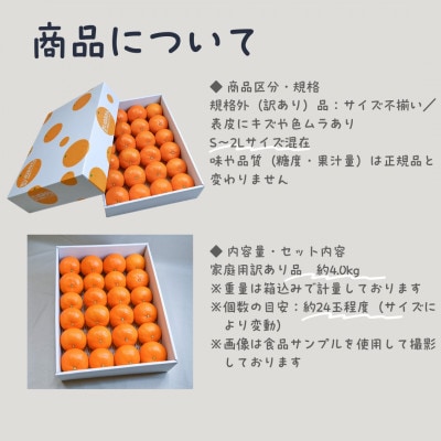 訳あり 愛果28号 みかん約24玉程度|ジューシーな家庭用柑橘【12月〜1月発送】