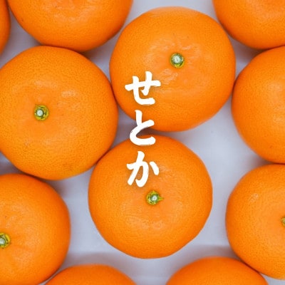 訳あり せとか みかん約10玉～15玉(家庭用)|濃厚ジューシー柑橘【2月中旬〜3月下旬頃発送】