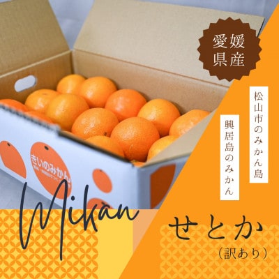 訳あり せとか みかん約10玉～15玉(家庭用)|濃厚ジューシー柑橘【2月中旬〜3月下旬頃発送】