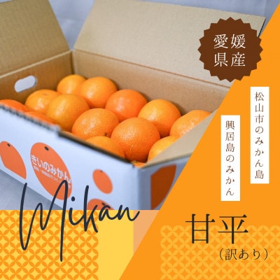 訳あり 甘平 約2.5kg(家庭用・S～4Lサイズ混合)|高級柑橘【2026年1月下旬〜発送予定】