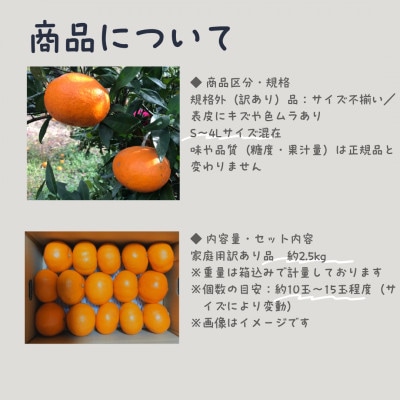 訳あり 甘平 約2.5kg(家庭用・S～4Lサイズ混合)|高級柑橘【2026年1月下旬〜発送予定】