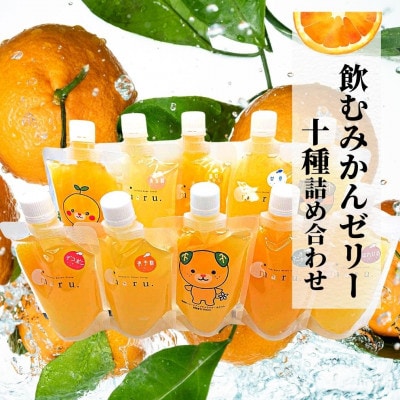 【10種】飲むみかんゼリー 詰め合わせ