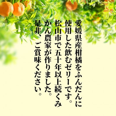 【10種】飲むみかんゼリー 詰め合わせ