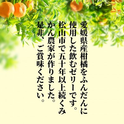 【6種】飲むみかんゼリー 詰め合わせ