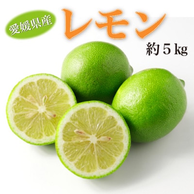 愛媛県産　レモン　秀　約5kg(L～Mサイズ)(約35～43個)
