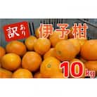 【1月中旬～順次発送予定】美味しい訳あり伊予柑10キロ