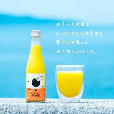 飲んでみかん農家を応援!伊予柑伊予柑ジュース8本セット