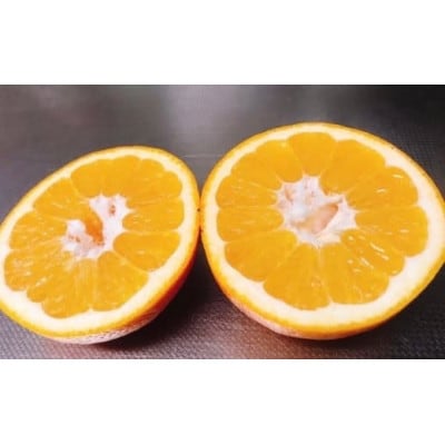 【1月中旬～順次発送予定】美味しい伊予柑5キロ