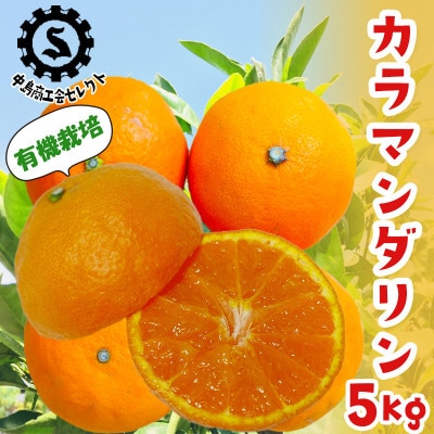 【二神農園】「特選」有機栽培カラマンダリン 5kg