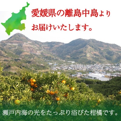 【窪田農園】「秀品」カラマンダリン 5kg