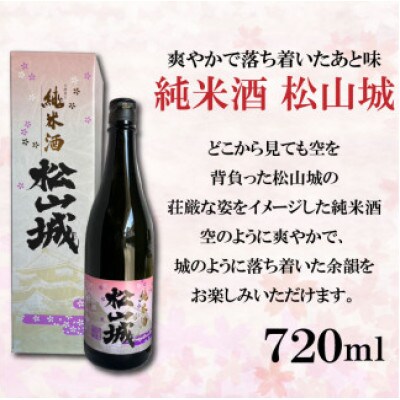 「推し柑」「純米酒松山城」セット