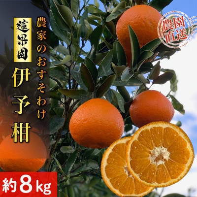 【先行予約】2026年1月中旬から順次発送 宮内伊予柑 約8kg 家庭用サイズ混合 農家直送