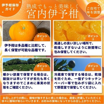 【先行予約】2027年1月下旬より発送 宮内伊予柑 約10kg 家庭用 訳あり 農家直送 いよかん