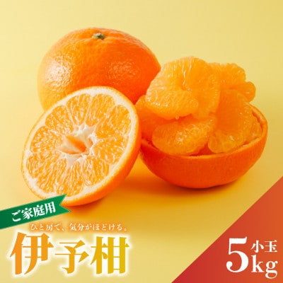 【先行予約】2027年2月上旬より発送 宮内伊予柑 家庭用 訳あり 小玉約5kg Lサイズ以下